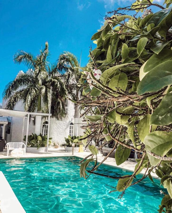 Le Castel Blanc Hotel Boutique San Andres  Exterior photo